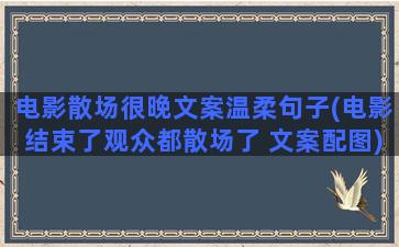 电影散场很晚文案温柔句子(电影结束了观众都散场了 文案配图)